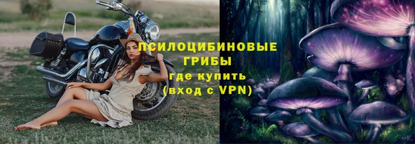 тгк Корсаков