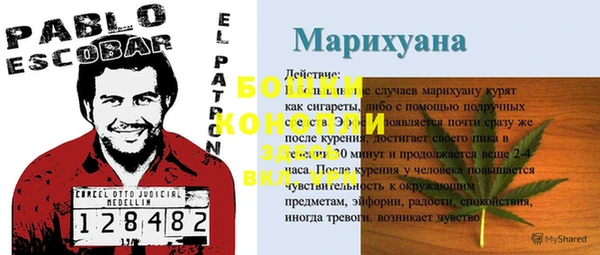 ПСИЛОЦИБИНОВЫЕ ГРИБЫ Козловка