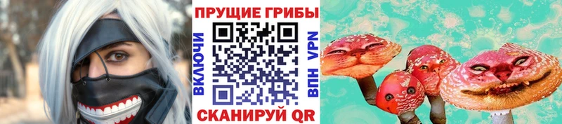 Псилоцибиновые грибы Psilocybe  Котлас 