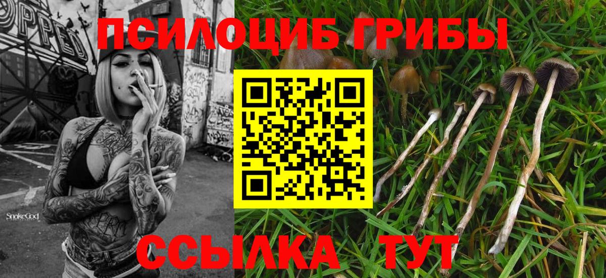 Галлюциногенные грибы мицелий Котлас