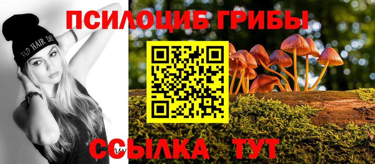 Котлас  Галлюциногенные грибы GOLDEN TEACHER  Галлюциногенные грибы Cubensis  Вход с VPN 